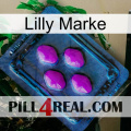 Lilly Brand 04
